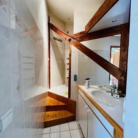 Apartment Duplex With Garden Mountain View Les Houches